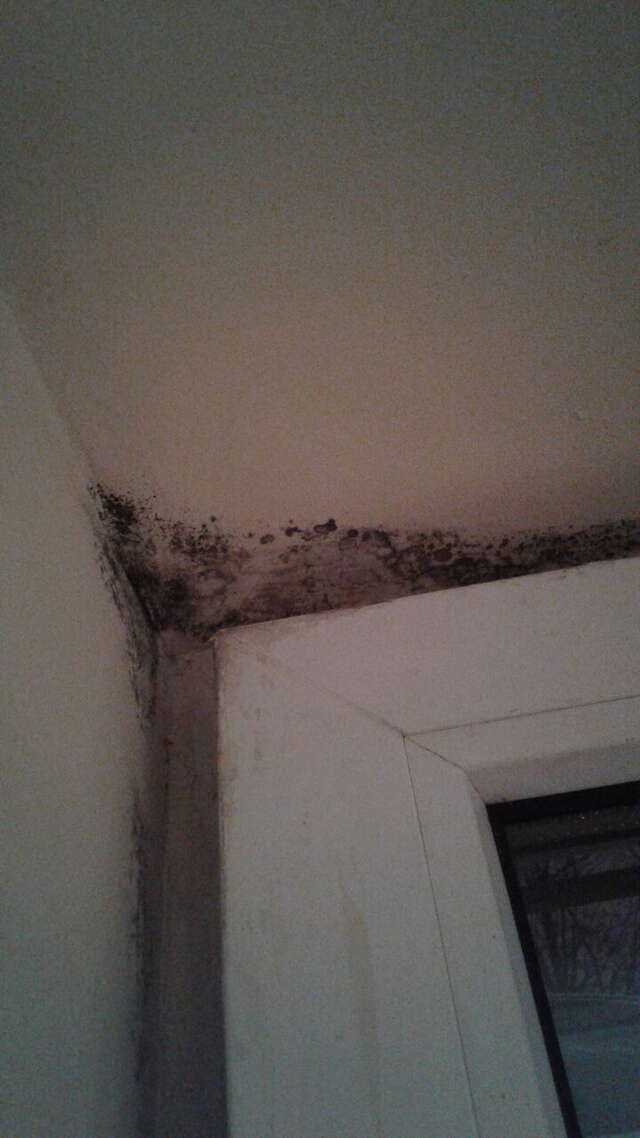 Гостиница Приорат Гатчина-176